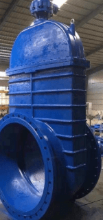 Double Disc Gate Valve