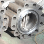 Dual Plate Lug Check Valve