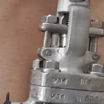 Forged Steel Globe Valve
