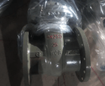 NRS Carbon Steel Gate Valve