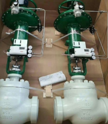 Pneumatic Cage Control Valve 1