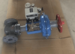 Fluorine Lined Single Seat Control Valve
