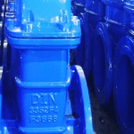 Rising Stem Cast Iron Gate Valve