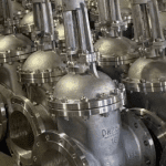 Rising Stem Stainless Steel Gate Valve