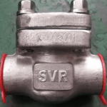 Swing Check Valve