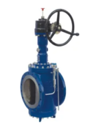 Twin Seal Plug Valve