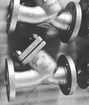 Y Strainer Supplier