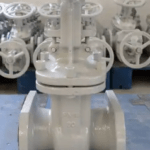 Duplex Gate Valve