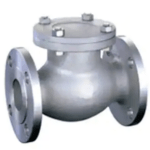 Hastelloy C276/B3 Swing Check Valve