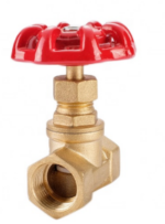 Bronze Globe Valve