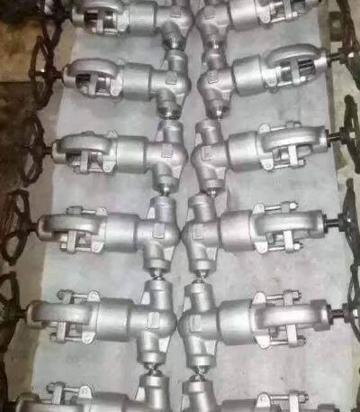 Below Seal Globe Valve