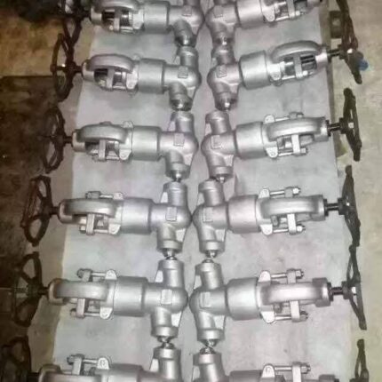 Below Seal Globe Valve