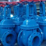 Rising Stem Gate Valve