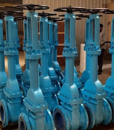 Bellow Seal Gate Valve